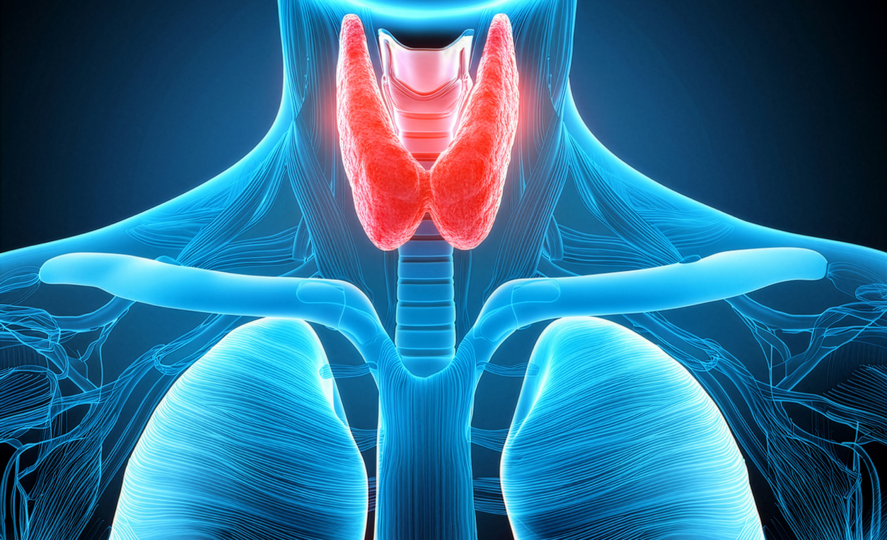 3d medical animation studio in India